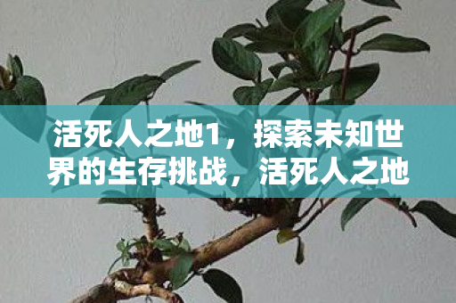 探索未知世界的生存挑战图片