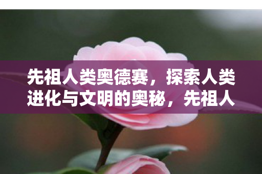 探索人类进化与文明的奥秘图片