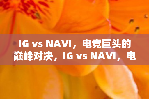 IG vs NAVI图片