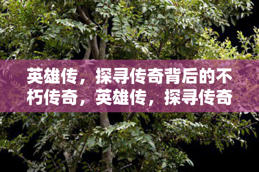探寻传奇背后的不朽传奇图片