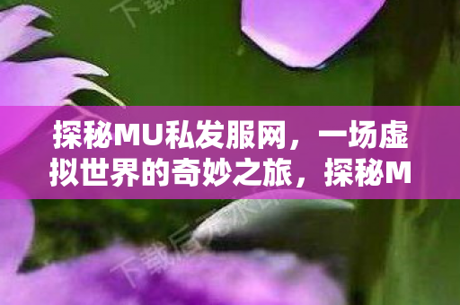 一场虚拟世界的奇妙之旅图片