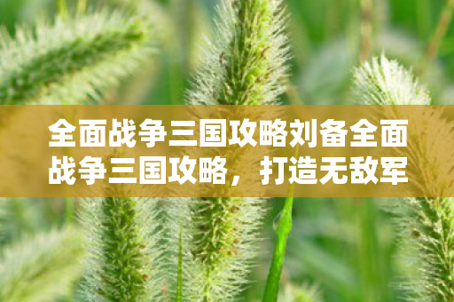全面战争三国攻略刘备全面战争三国攻略图片