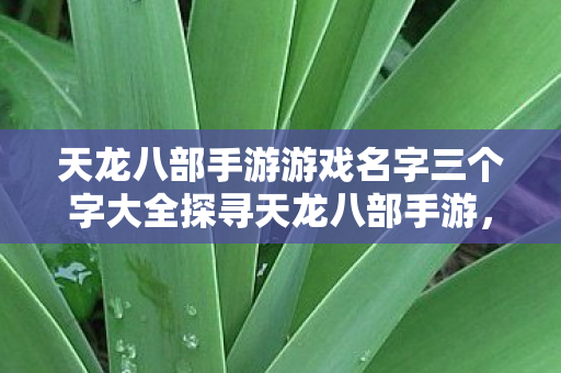 天龙八部手游游戏名字三个字大全探寻天龙八部手游图片