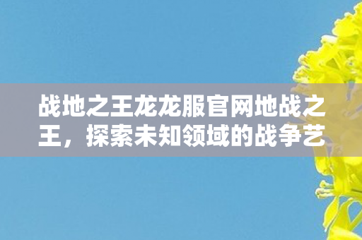 战地之王龙龙服官网地战之王图片