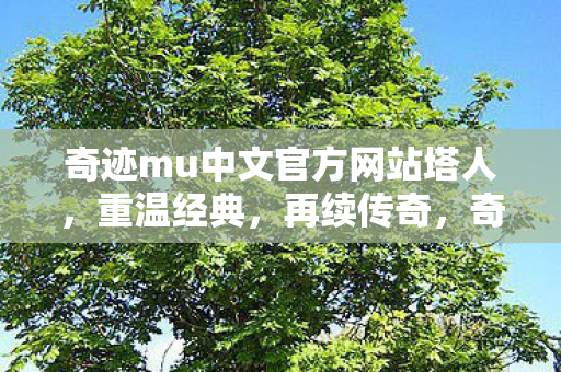奇迹mu中文官方网站塔人图片