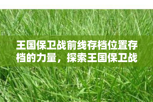 王国保卫战前线存档位置存档的力量图片