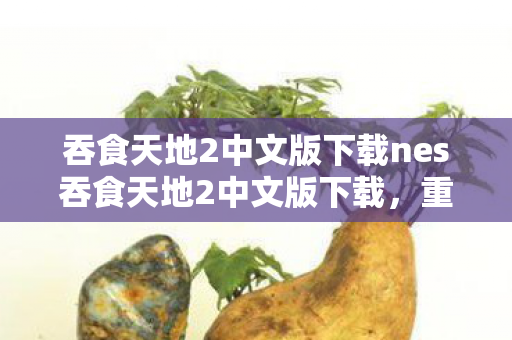 吞食天地2中文版下载nes吞食天地2中文版下载图片