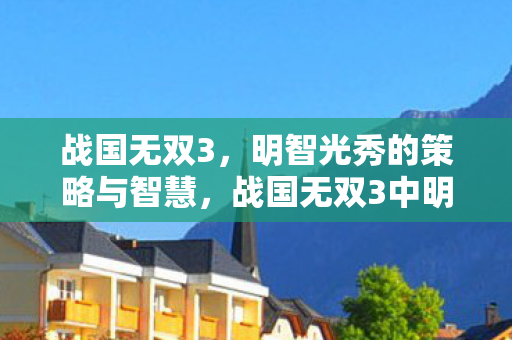 战国无双3中明智光秀的策略与智慧展现图片