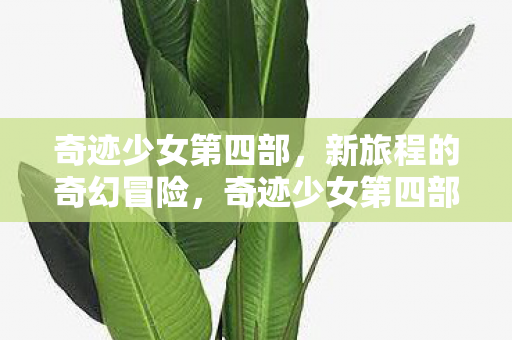 新旅程的奇幻冒险图片