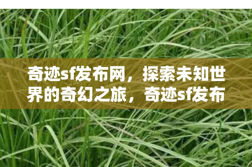 开启探索未知世界的奇幻之旅图片