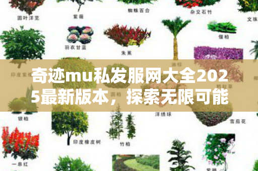 奇迹mu私发服网大全2025最新版本图片