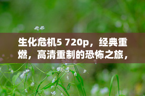 生化危机5720p高清重制图片
