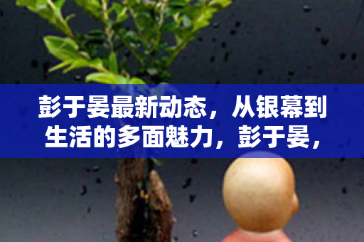 从银幕到生活的多面魅力图片