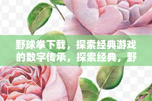 探索经典游戏的数字传承图片