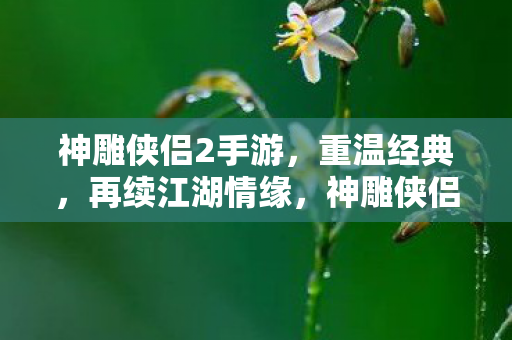 神雕侠侣2手游图片