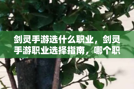剑灵手游选什么职业，剑灵手游职业选择指南，哪个职业最适合你？