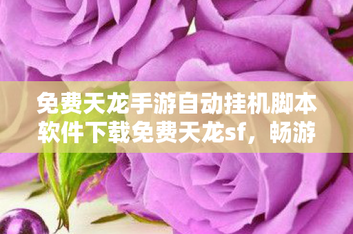 免费天龙手游自动挂机脚本软件下载免费天龙sf图片