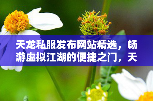 畅游虚拟江湖的便捷之门图片
