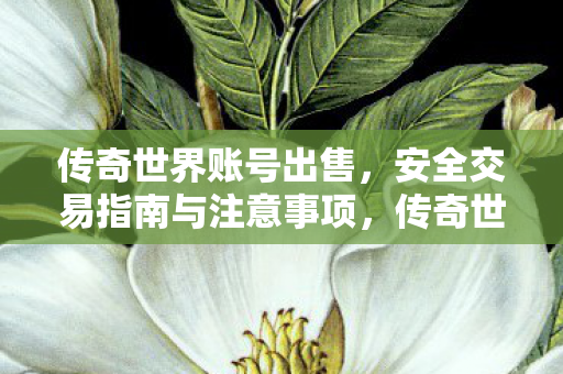 传奇世界账号安全交易指南图片