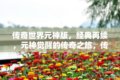 元神觉醒的传奇之旅图片