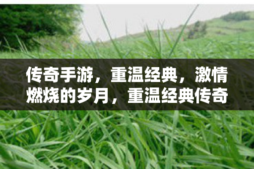重温经典传奇手游图片