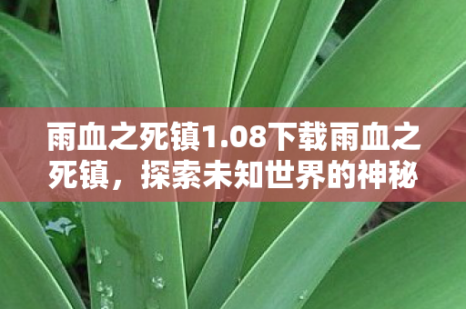 探索未知世界的神秘之旅图片