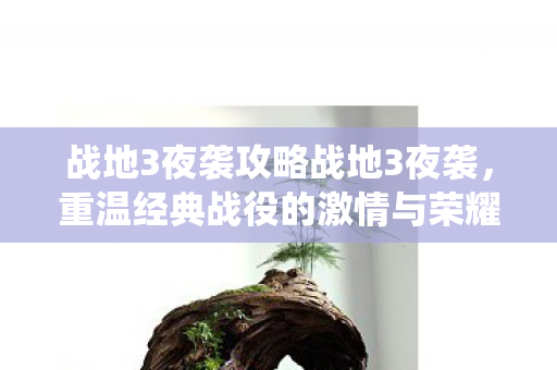 战地3夜袭攻略战地3夜袭图片