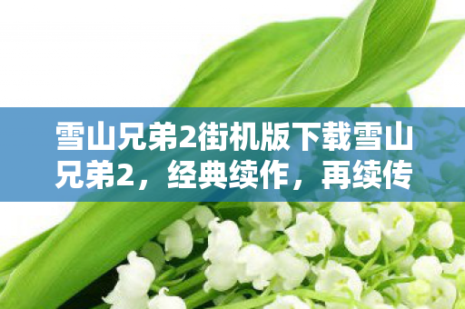 雪山兄弟2街机版下载雪山兄弟2图片