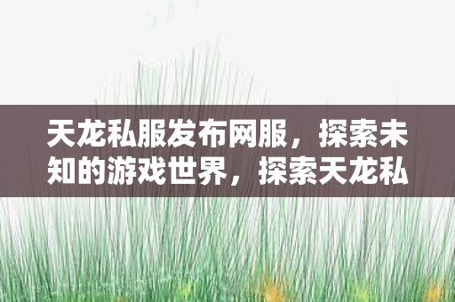 探索天龙私服发布网服图片