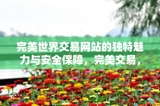 揭秘完美世界交易网站的独特魅力与安全保障图片