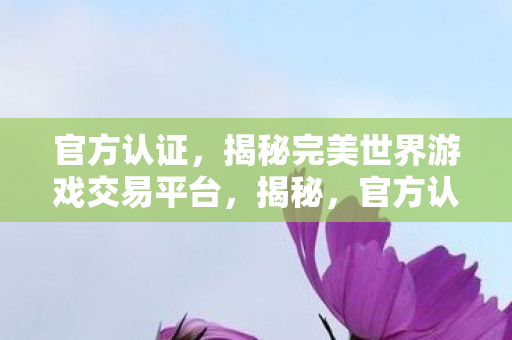 官方认证完美世界游戏交易平台图片