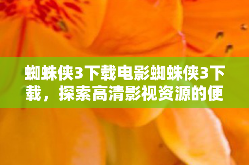 蜘蛛侠3下载电影蜘蛛侠3下载图片