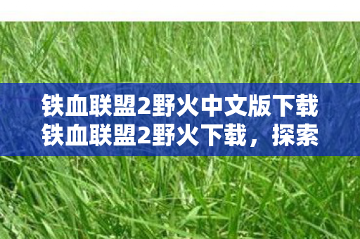 铁血联盟2野火中文版下载铁血联盟2野火下载图片