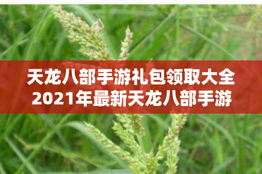 天龙八部手游礼包领取大全2021年最新天龙八部手游礼包领取大全2021年图片