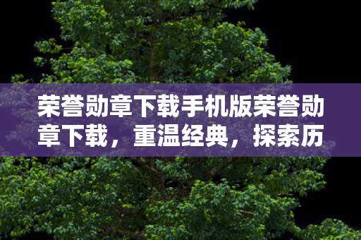 荣誉勋章下载手机版荣誉勋章下载图片