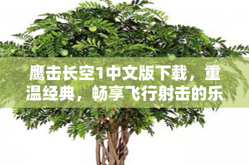 鹰击长空1中文版下载图片