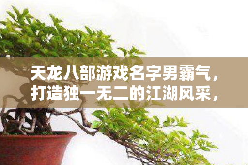 天龙八部游戏名字男霸气图片