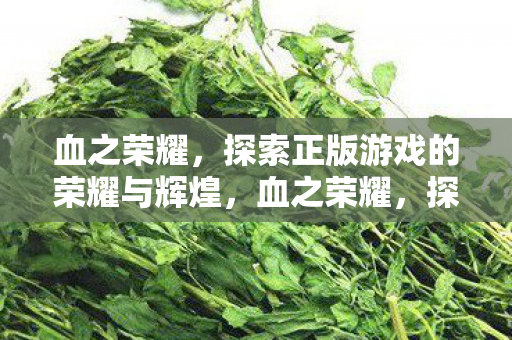 探索正版游戏的荣耀与辉煌图片
