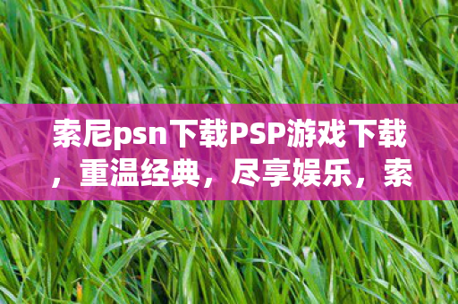 索尼psn下载PSP游戏下载图片