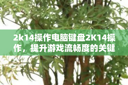 2k14操作电脑键盘2K14操作图片