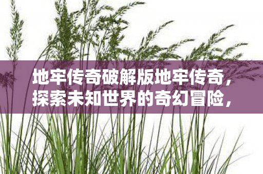 破解版开启未知世界的奇幻冒险图片