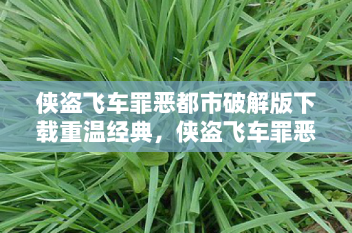 侠盗飞车罪恶都市破解版下载重温经典图片