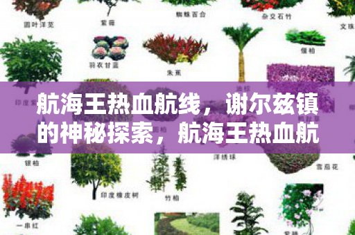 谢尔兹镇神秘探索之旅图片