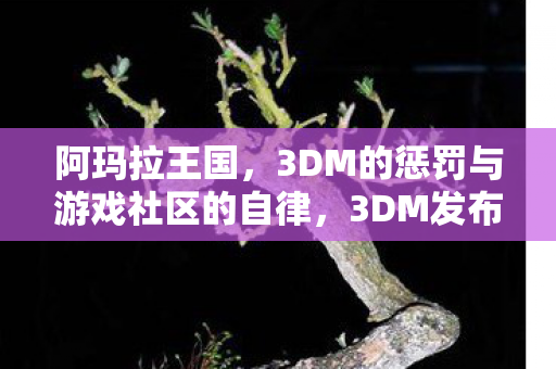 3DM的惩罚与游戏社区的自律图片