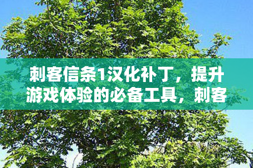 提升游戏体验的必备工具图片