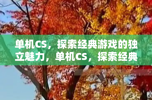 探索经典游戏的独立魅力图片