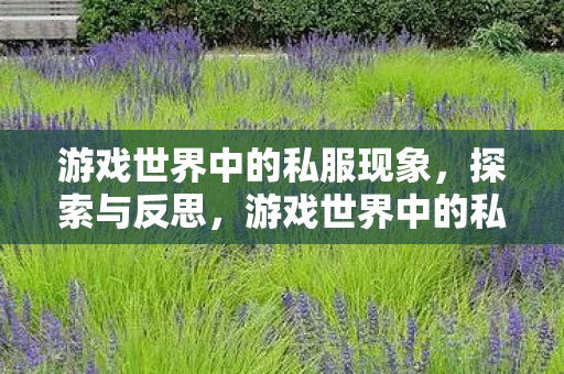 游戏世界中的私服现象图片