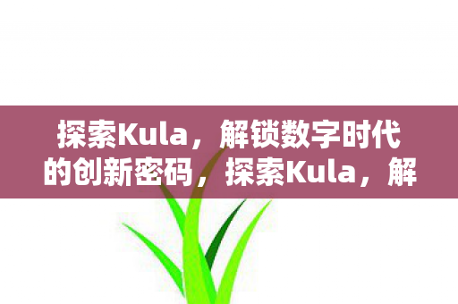 解锁数字时代的创新密码图片