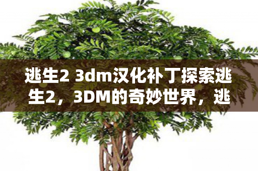 逃生2 3dm汉化补丁探索逃生2图片