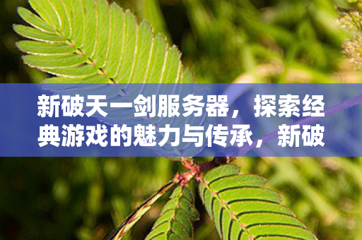 新破天一剑服务器，探索经典游戏的魅力与传承，新破天一剑服务器，探索经典游戏的魅力与传承